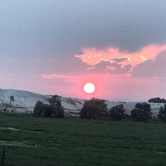 Meet your Posher, JZ - Picture 2 of 2